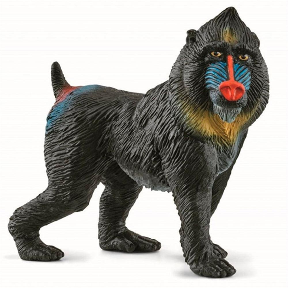 Køb schleich® Wild Life Mandril