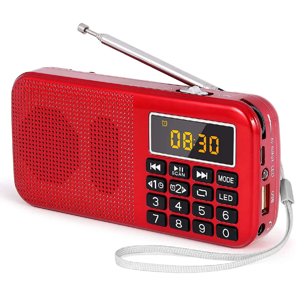 Prunus Radio Portable MP3