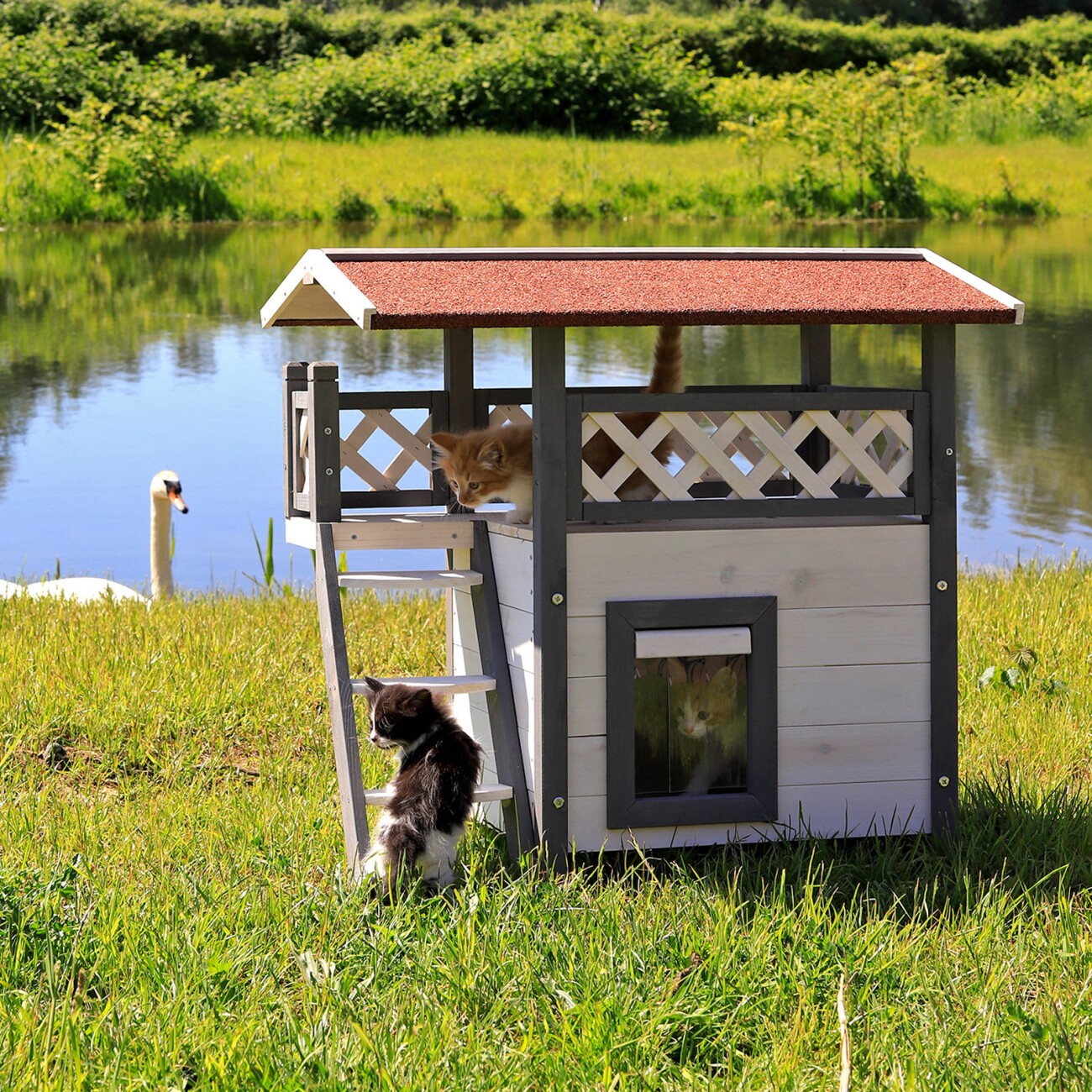 Lionto Katzenhaus SunLounge