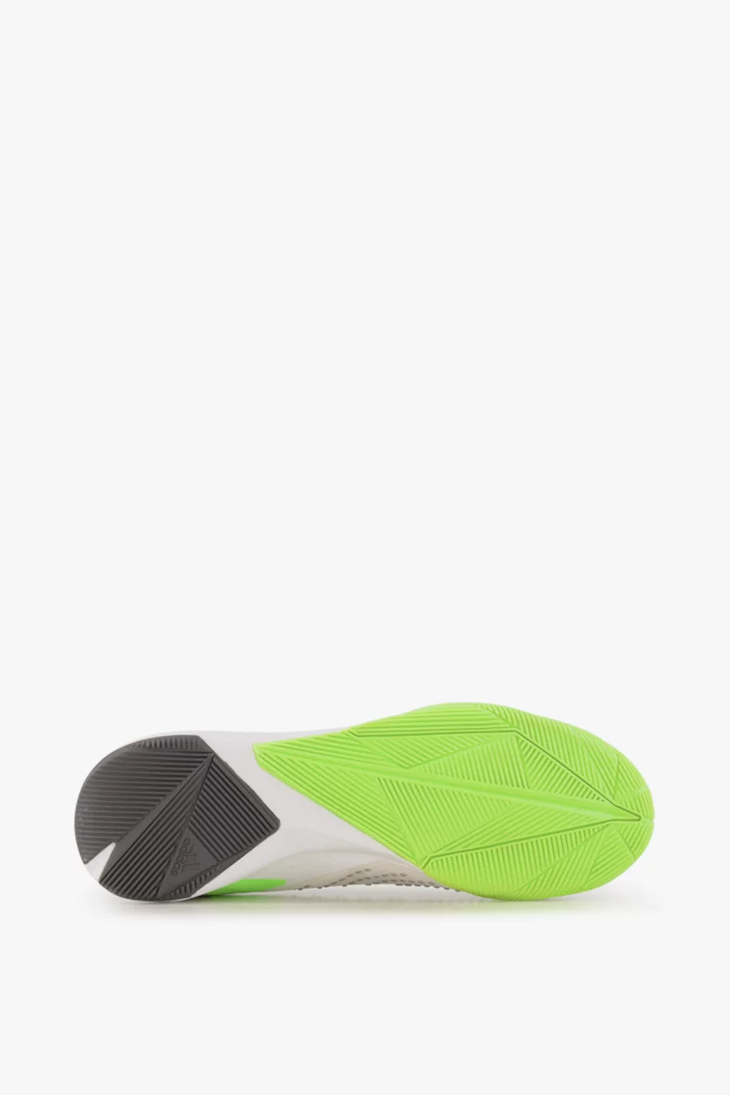 adidas Performance Predator Accuracy.1 IN Herren Fussballschuh