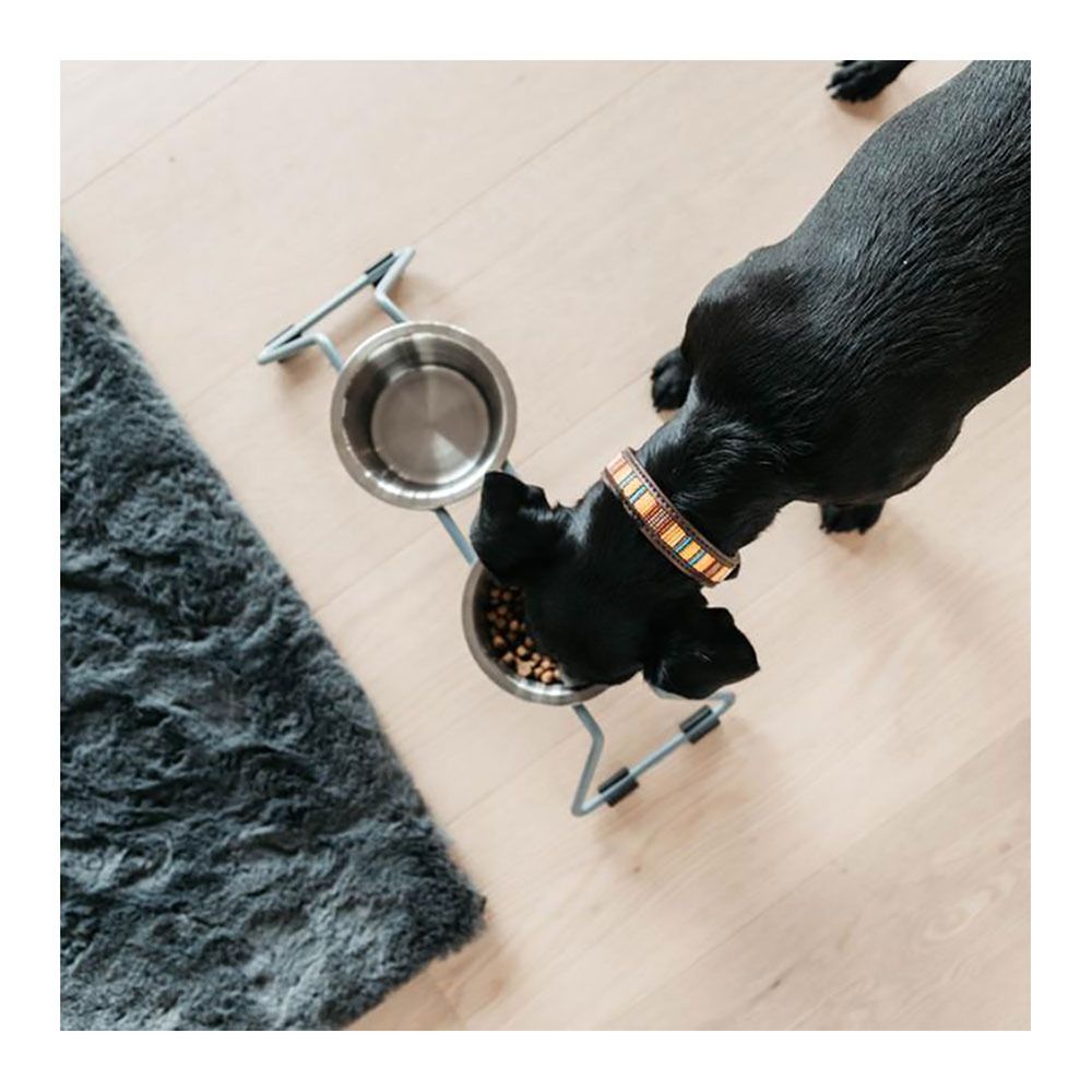 Kentucky PEARLS -  Collier pour chien orange