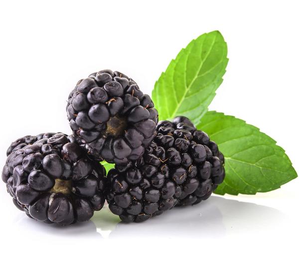 Beeren-Set Marmeladen-Mix, 4-teilig