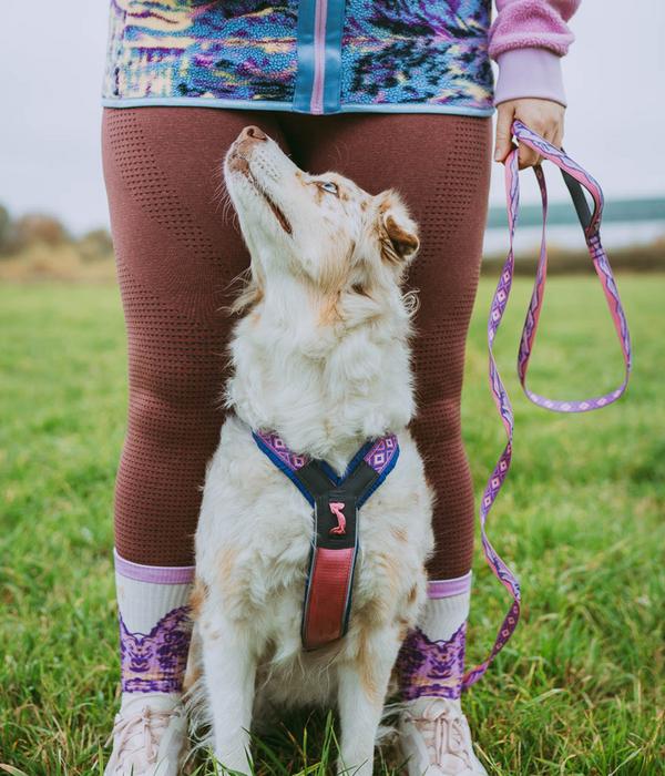 Non-stop dogwear Hundeleine Trail Quest Rachel