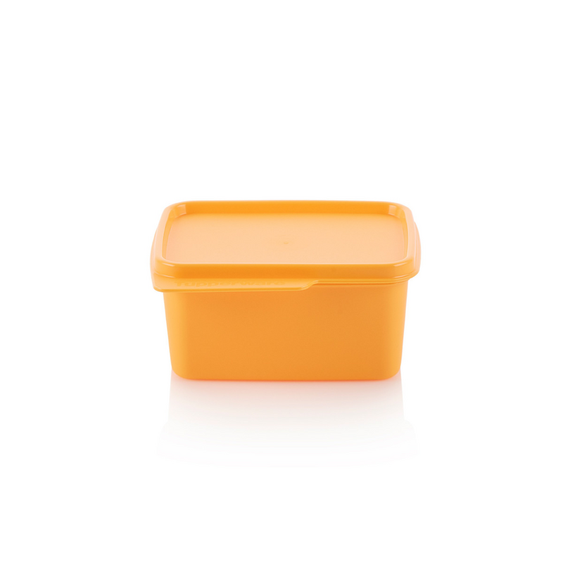 Basic Line 500 ml Der Behälter zum Frischhalten und Aufbewahren