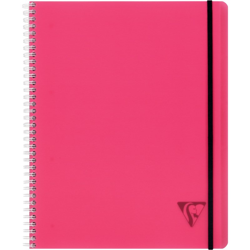 Cahier spirale Clairefontaine Proactiv'Book Linicolor Fesh 22,5 x 29,7 cm assorti aléatoire grands carreaux avec cadre en-tête-160 pages