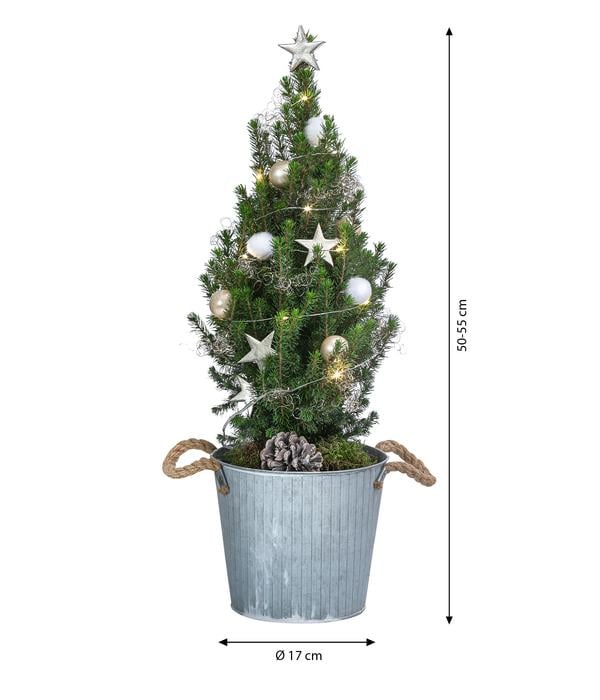 Geschmückter Weihnachtsbaum Linus,