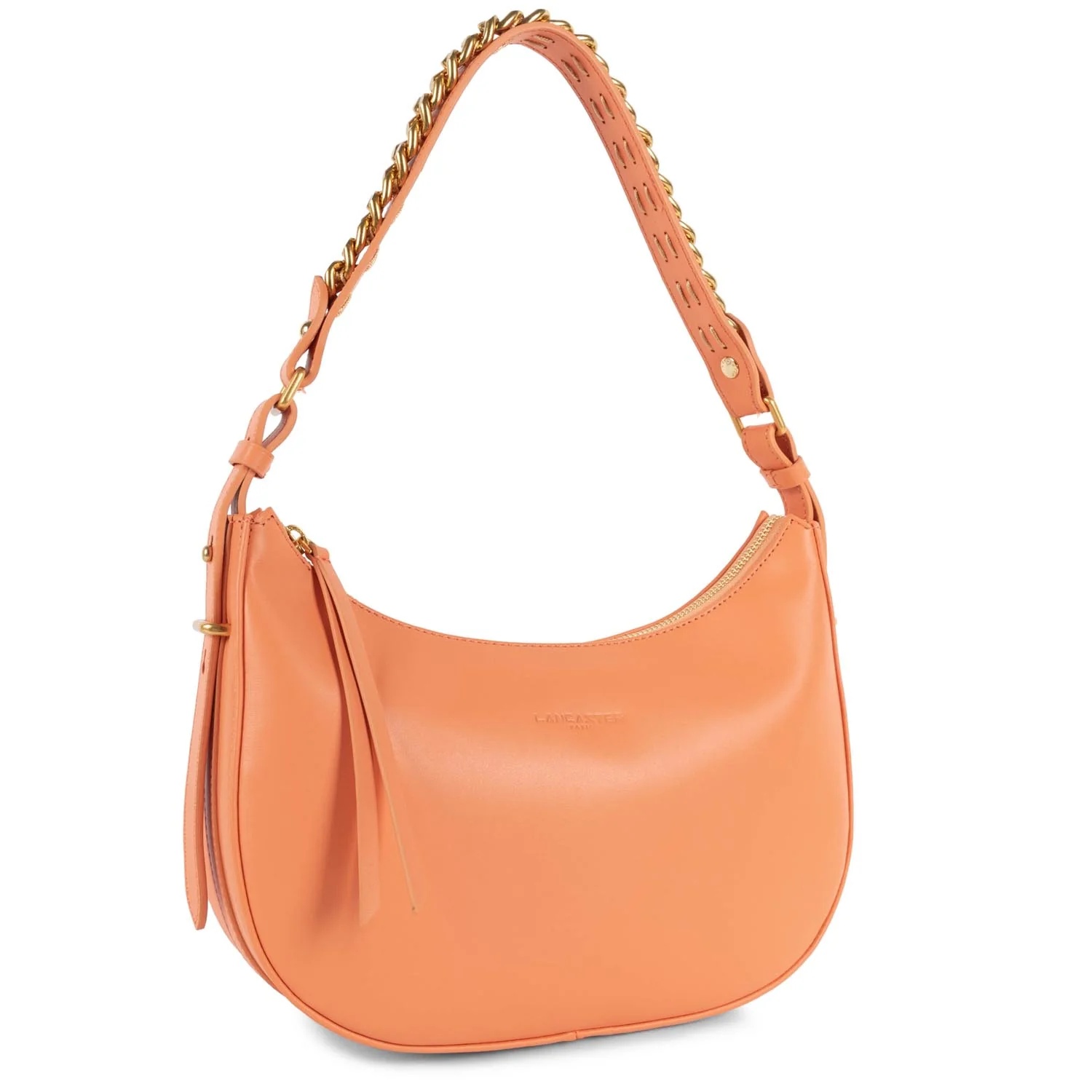 Aria-Sac hobo