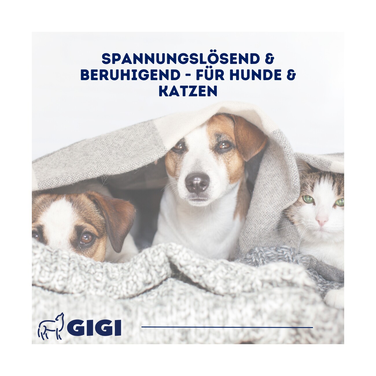 GIGI VET da-ba RELAX Plus Für Hunde und Katzen 30 Stück