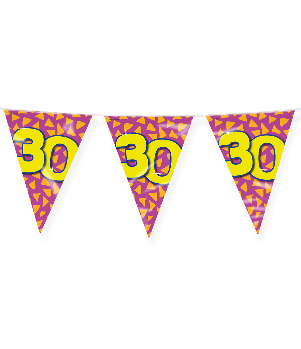 Vlaggenlijn 30 Jaar Gekleurd 10m