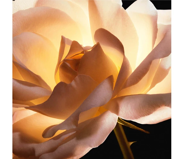 DIOR DIOR Prestige La Crème Riche