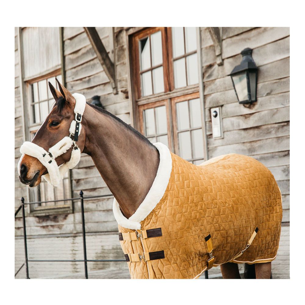 Kentucky VELVET 160G - Couverture de présentation mustard