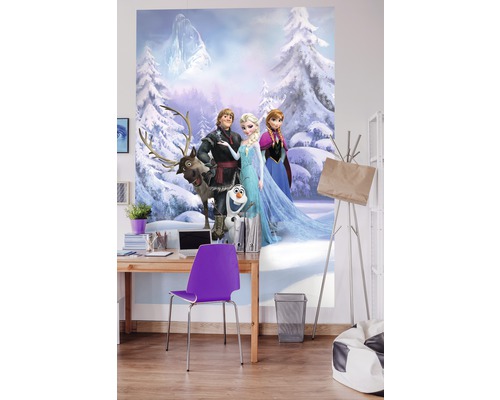 Fotobehangpapier 4-498 Disney Edition 4 Frozen Winter Land 4-delige set 184 x 254 cm
