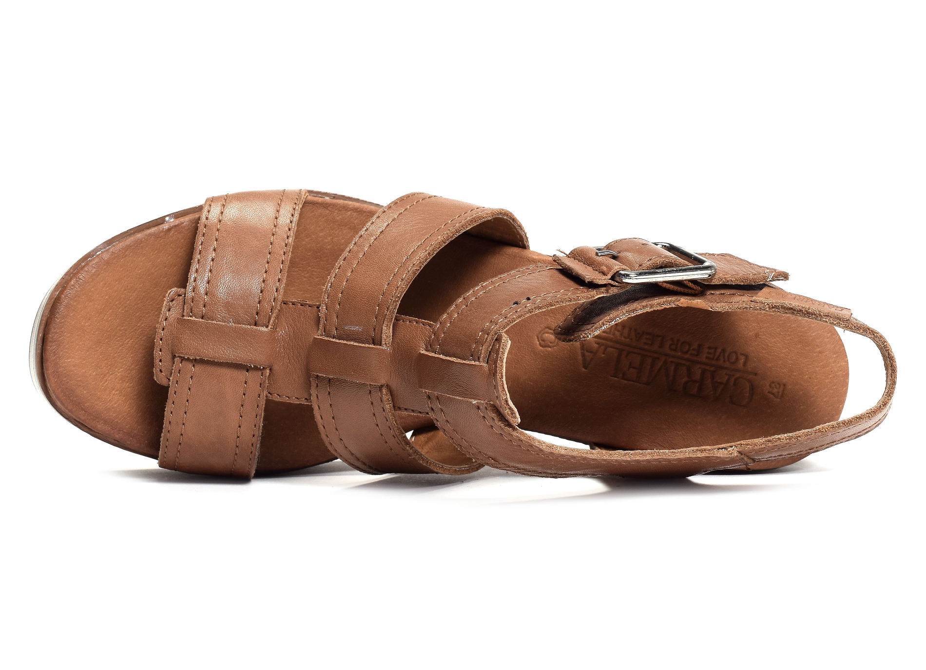 67801 camel