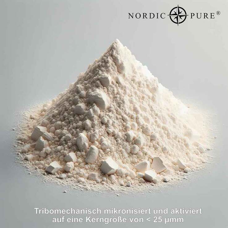 Zeolith Pulver 95% Klinoptilolith Nordic Pure, 1000 g