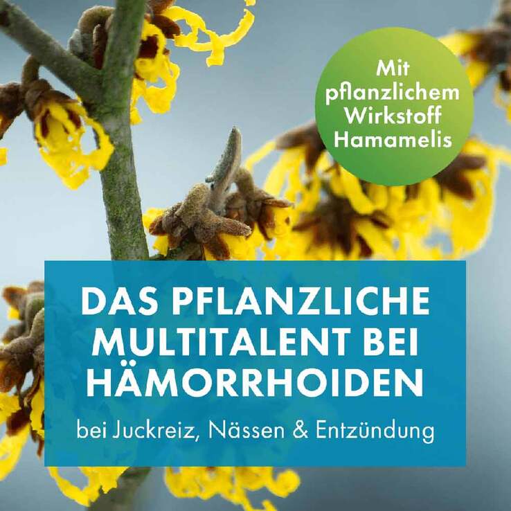 FAKTU lind Hämorrhoidenzäpfchen mit Hamamelis, 25 St