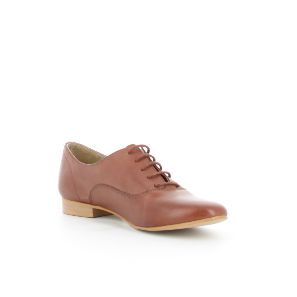 André - Derbies NINI Camel