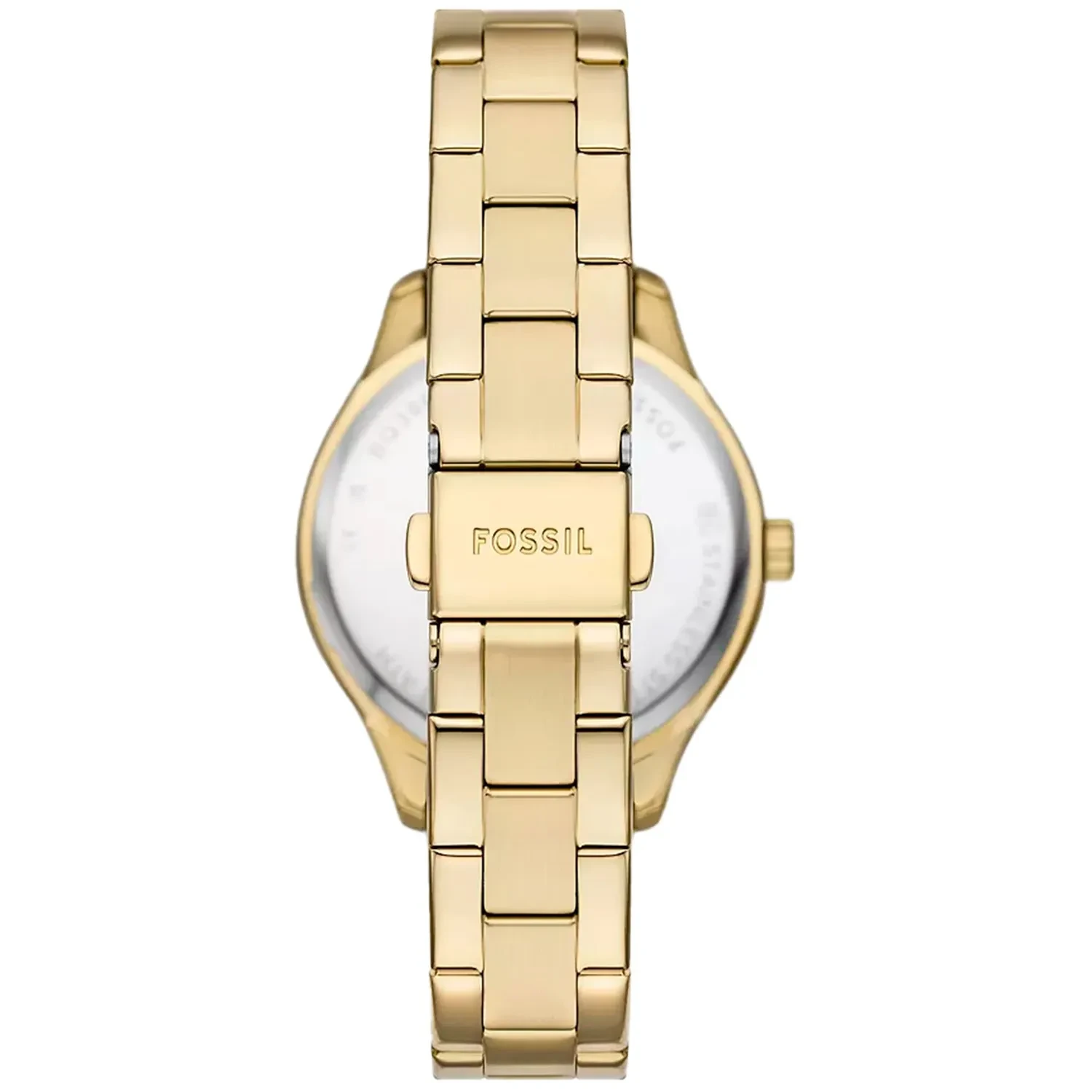 Fossil Rye BQ3961