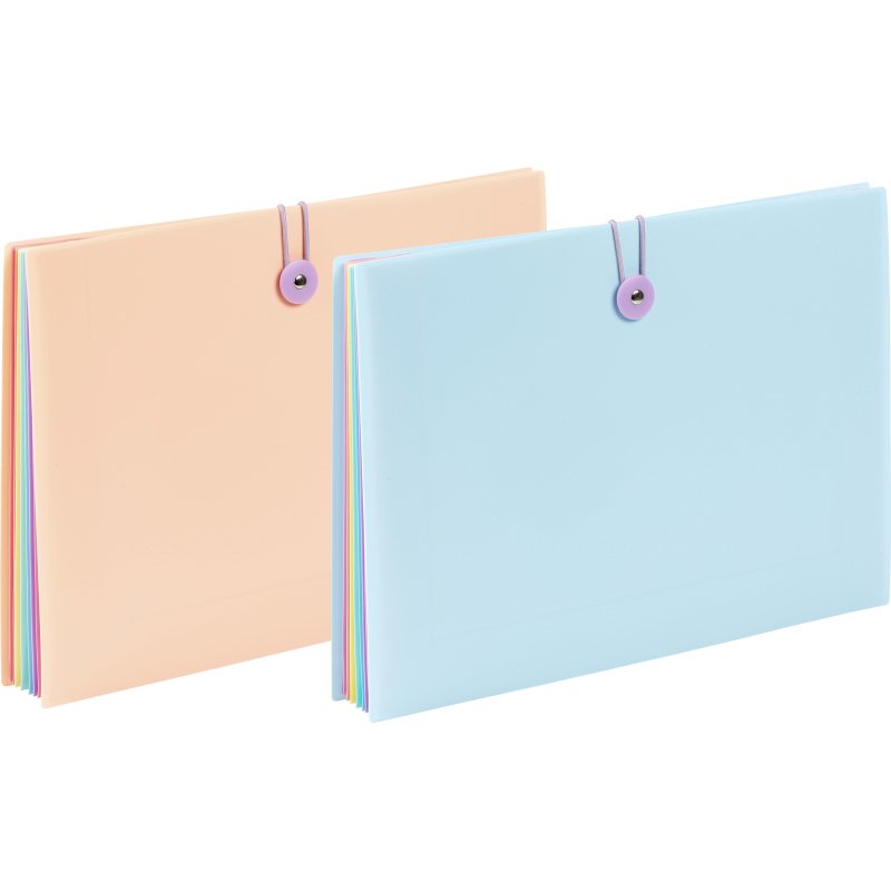 Trieur plastique Viquel Rainbow à soufflet 8 divisions pastel