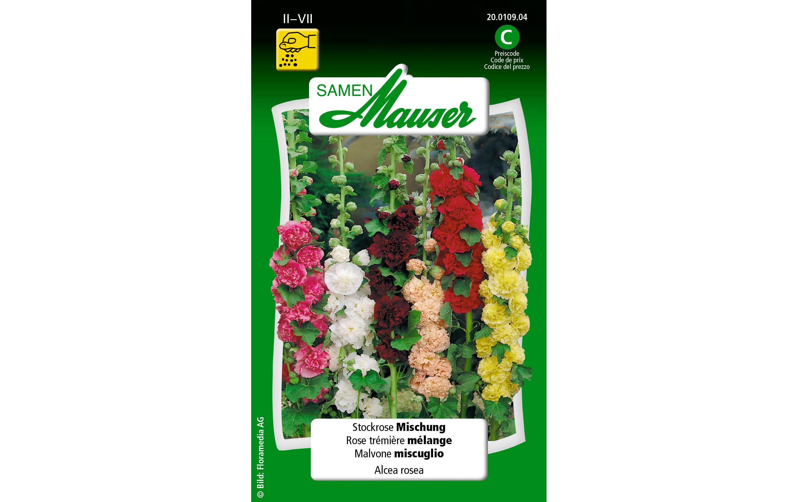 Saatgut Stockrose MischungBlumensamen