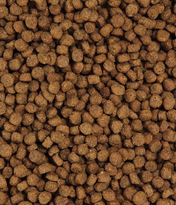 Dehner Premium Trockenfutter für Katzen Light