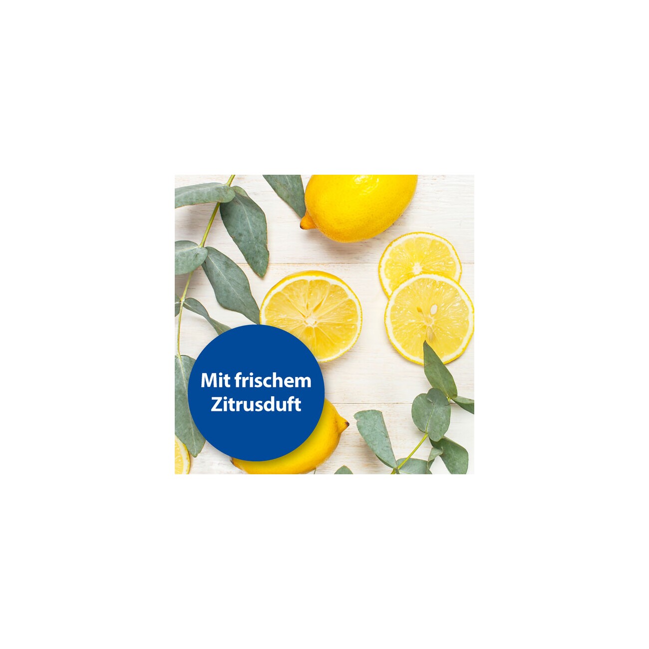 Quiko Bactazol Universalreiniger 500 ml