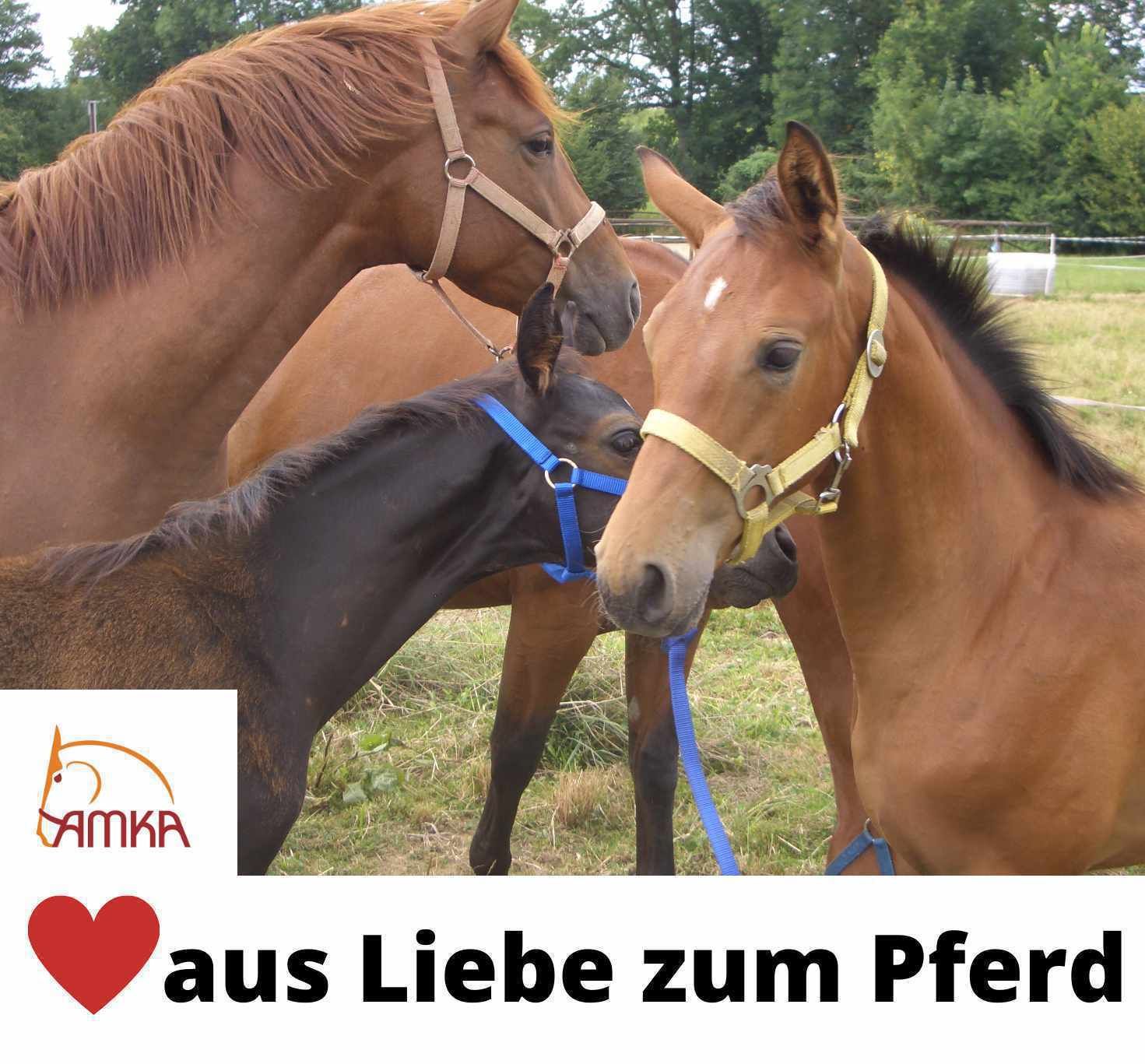 AMKA Brusterweiterung