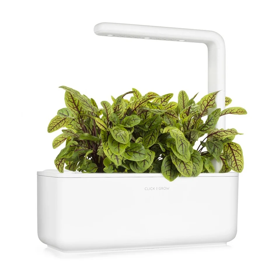 Click and Grow -Smart Garden Refill 3-pak - Blodig sorrel