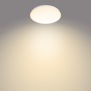 Philips plafondlamp Moire 1x17W 2700K wit
