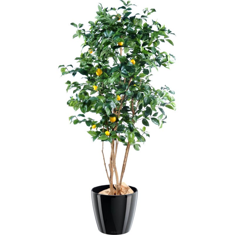 Plante artificielle d'intérieur Citronnier 180 cm