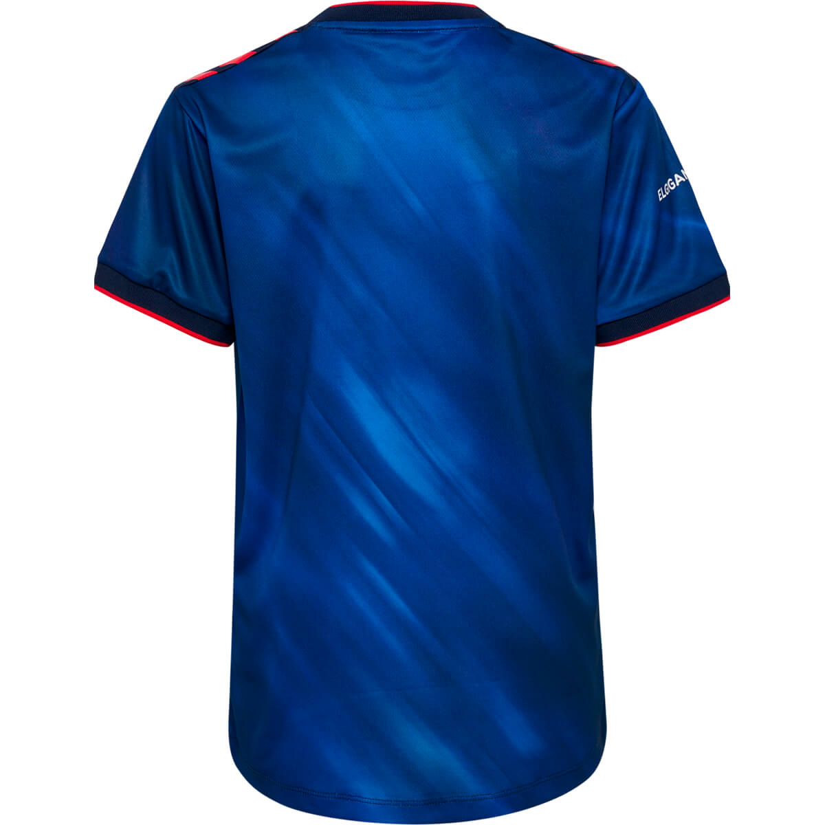 hummel Astralis T-shirt 23/24 Børn