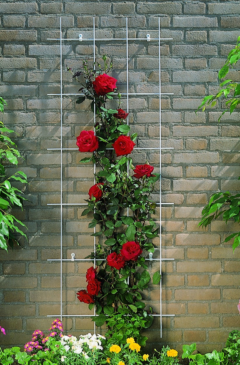 Nature klimrek metaal gegalvaniseerd h145 x 72,5cm