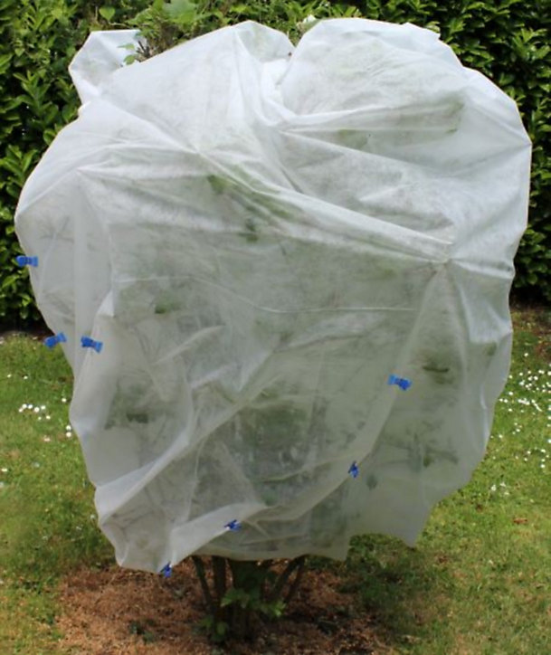 Voile d'hivernage non tissé 30g Jany 1 x 10 m