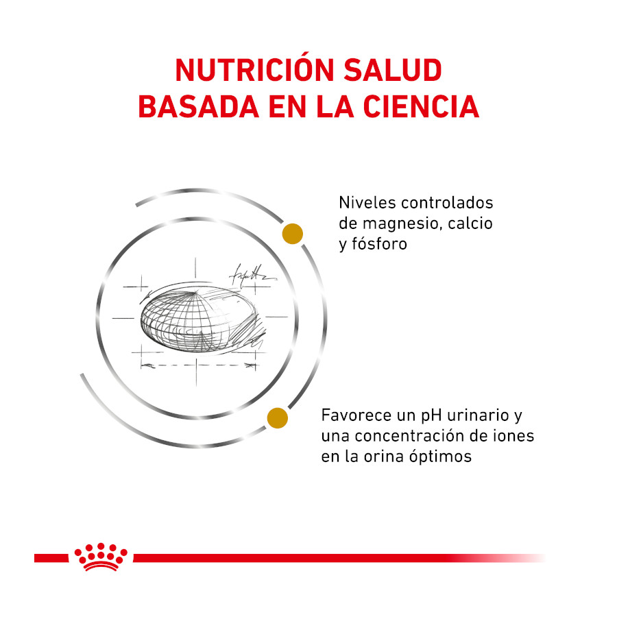 Ração Royal Canin Veterinary Urinary para gatos