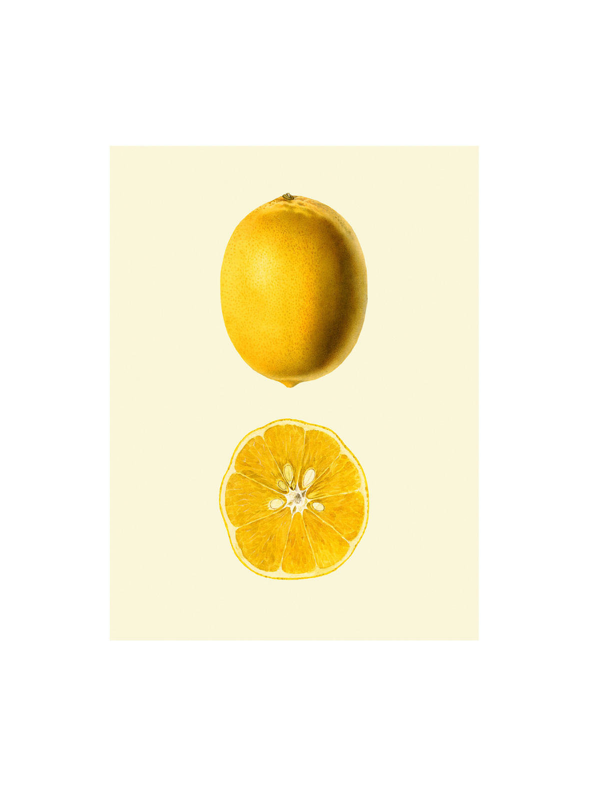 Plakat 50 x 70 | Papir. | Multi | The Dybdahl Co.