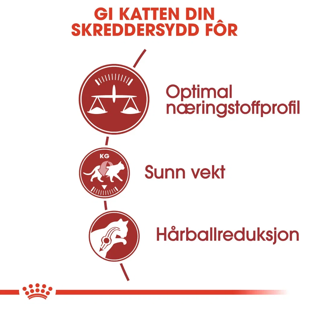 Royal Canin Royal Canin Fit 32 Adult 10 kg