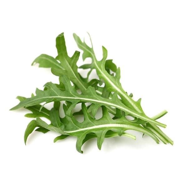 Click & Grow - Smart Garden Refill 3-pakning - Rucola/Rocket (SGR19X3)