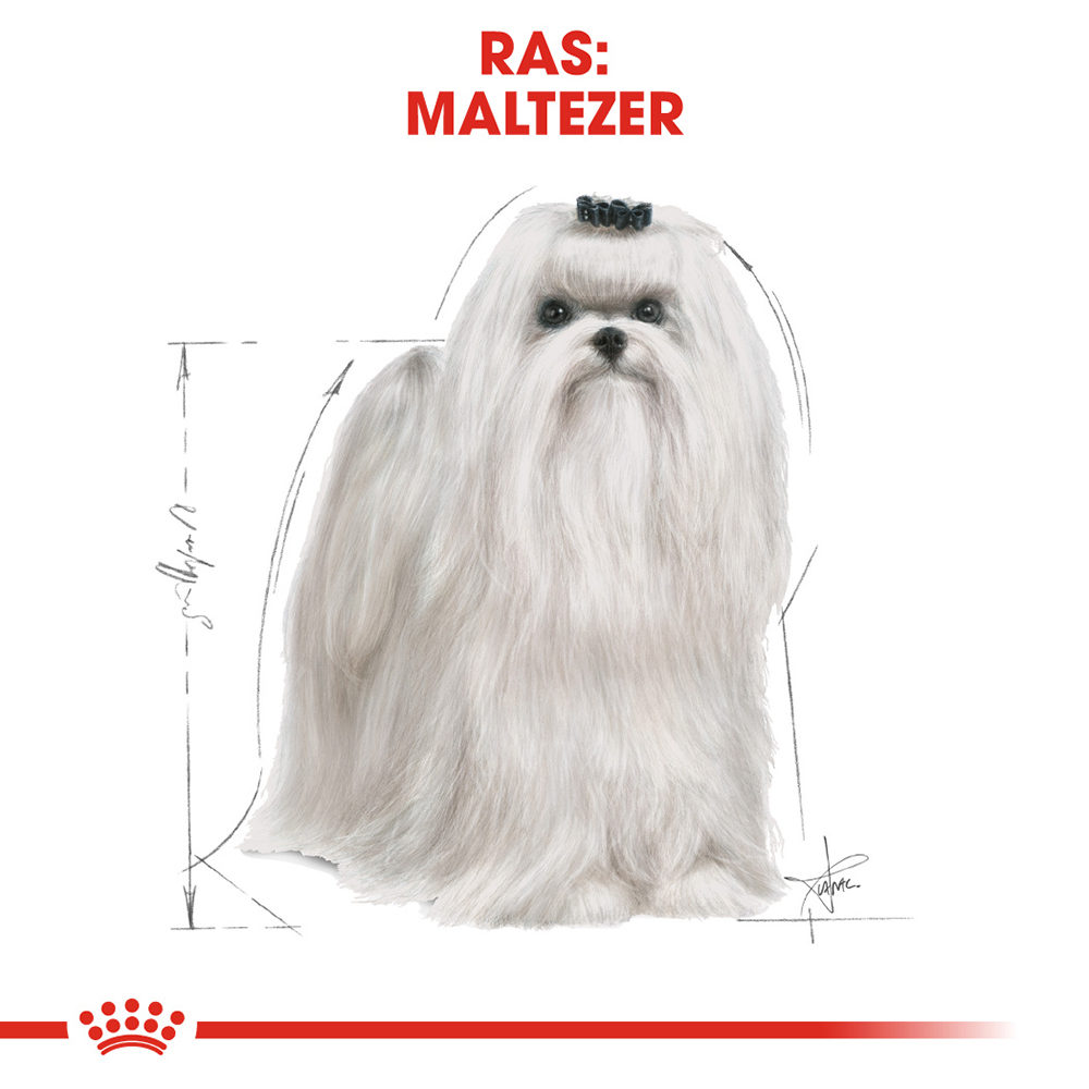 Royal Canin Maltese Adult - Hondenvoer