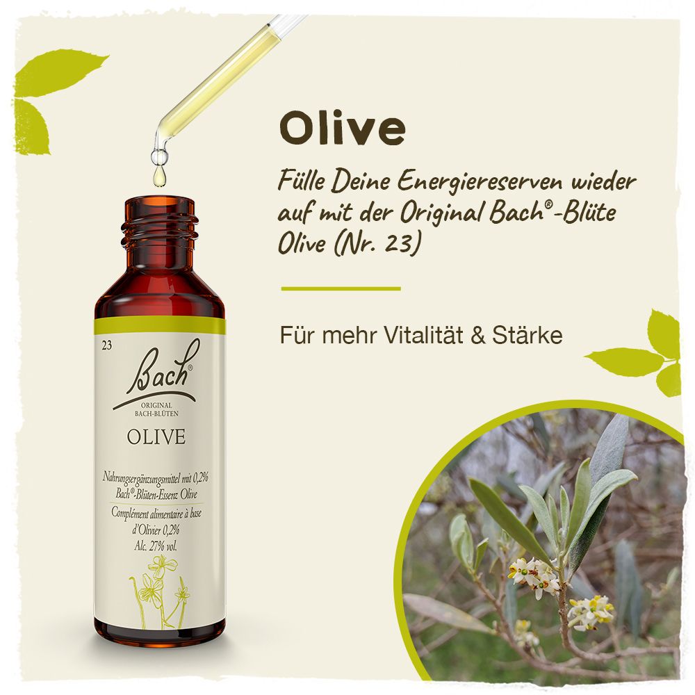 BACH®-BLÜTEN Frühlingserwachen Set