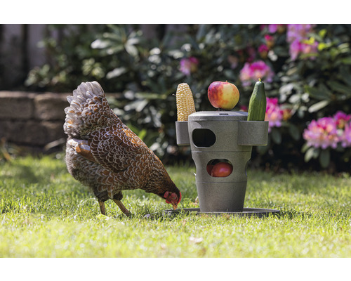 Kip Snacktoren beeztees Grijs 30 x 30 x 32,5 cm gerecycled plastic