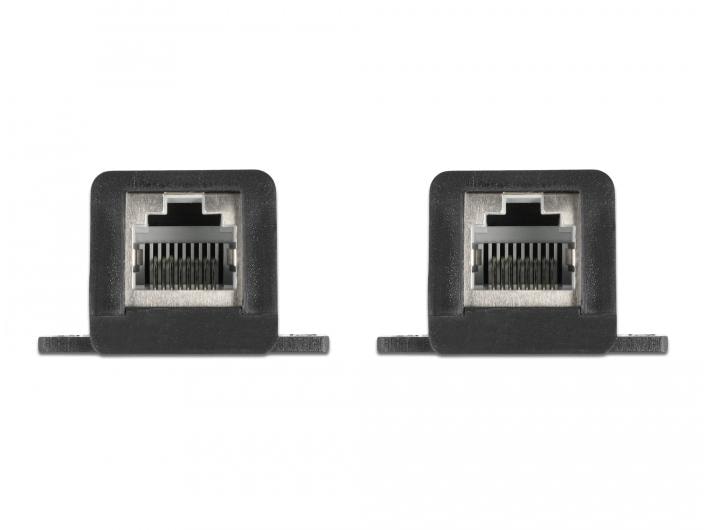 Delock Fensterdurchführung RJ45 FPC, 30 cm 1 Stück RJ45 FPC (Flexible Printed Circuit) Fensterdurchführung 30 cm