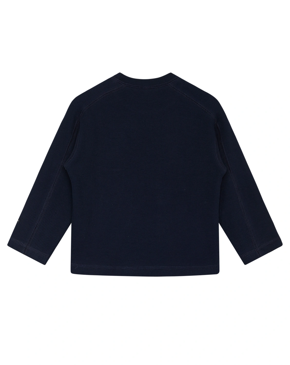 Langarmshirt AMUND DINO in blues