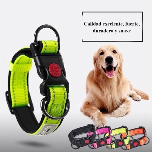 Coleira para cães MyPetCare, vermelha