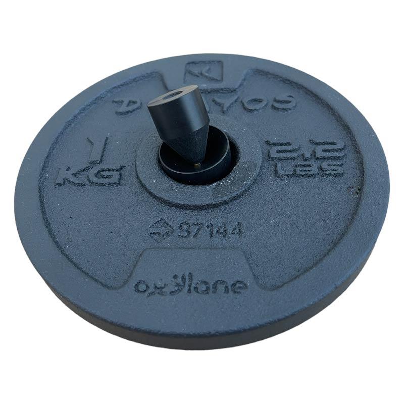 Poids Pour Repère Lumineux Holdcarp Weight With Holder