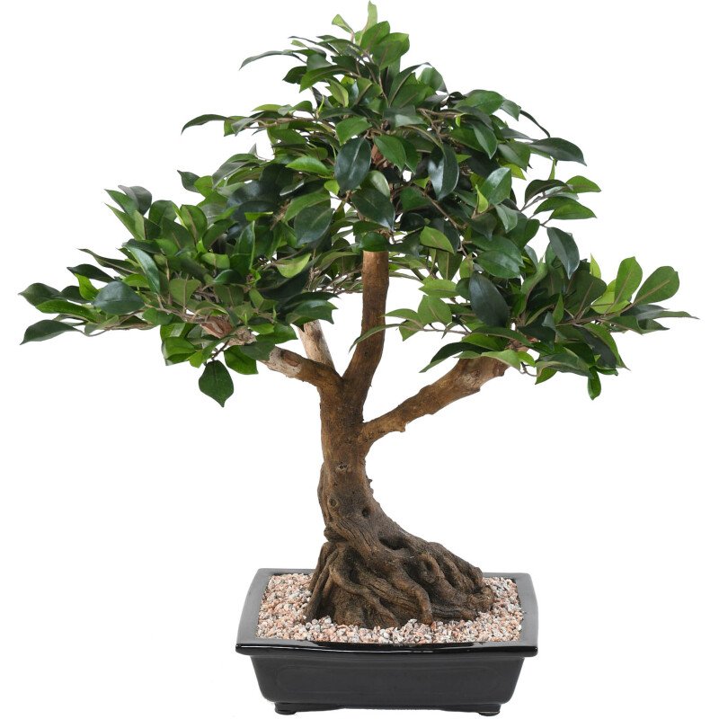 Plante artificielle d'intérieur Bonsaï Ficus 58 cm