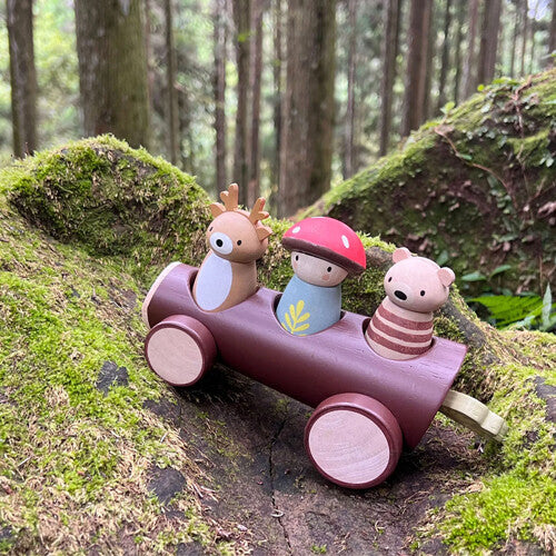 Tender leaf toys taxi bosdieren
