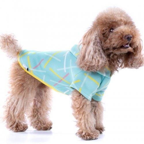 Suéter Neosticks Spark para cães, verde claro