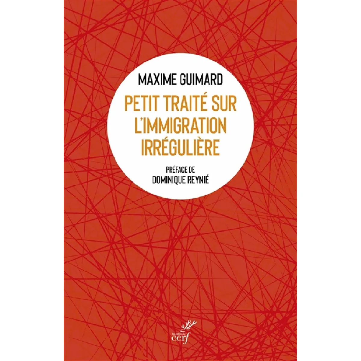 Petit traité sur l'immigration irrégulière : dynamiques, mécanismes et réponses · Occasion