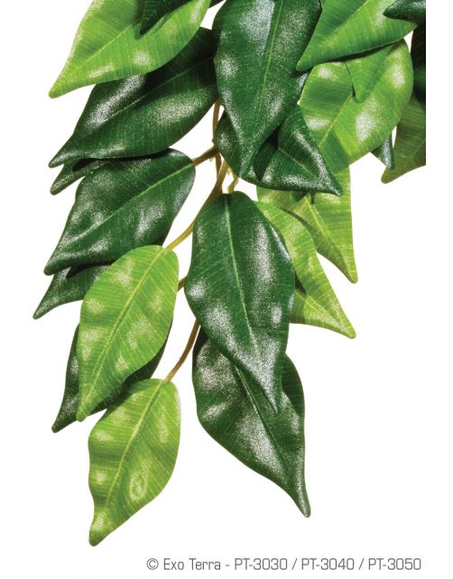 Exo Terra Rainforest Plant Ficus - Kunstplanten