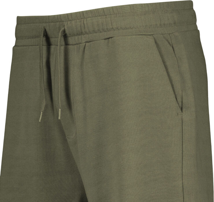 Firefly Nolan shorts Grøn