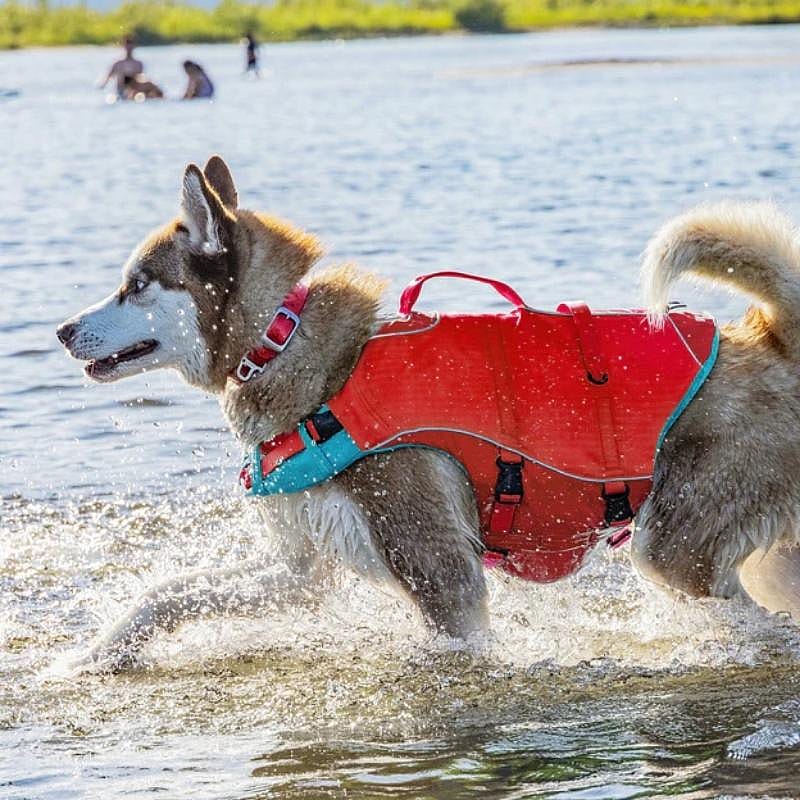 Kurgo Life Jacket Surf and Turf Comfortabel Hondenzwemvest | Medium | 11634